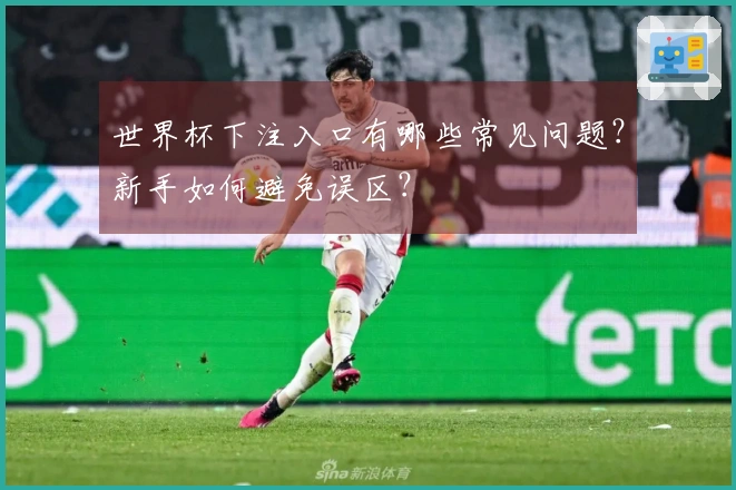 世界杯下注入口有哪些常见问题？新手如何避免误区？