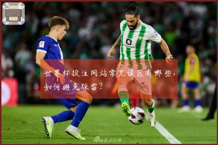世界杯投注网站常见误区有哪些，如何避免踩雷？