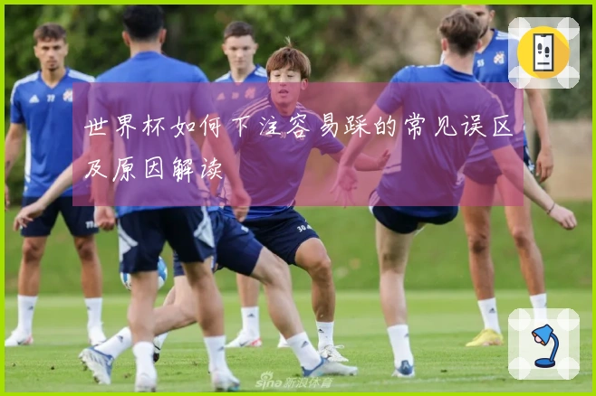 世界杯如何下注容易踩的常见误区及原因解读
