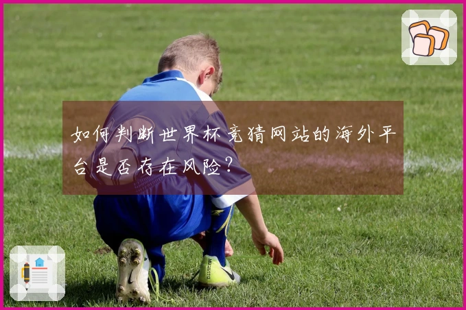 如何判断世界杯竞猜网站的海外平台是否存在风险？