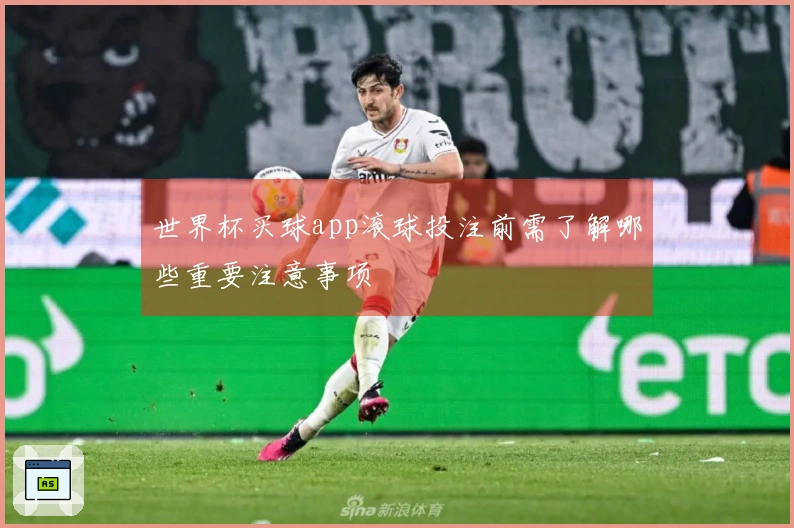 世界杯买球app滚球投注前需了解哪些重要注意事项
