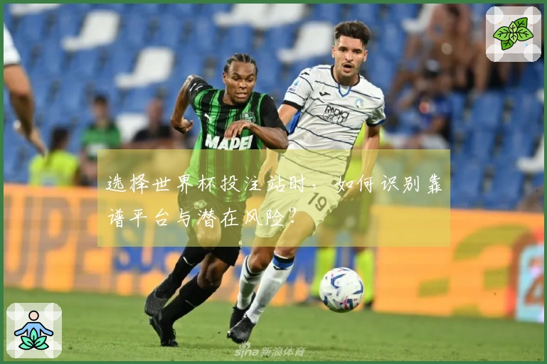 选择世界杯投注站时，如何识别靠谱平台与潜在风险？