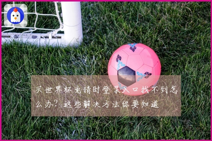 买世界杯竞猜时登录入口找不到怎么办？这些解决方法你要知道