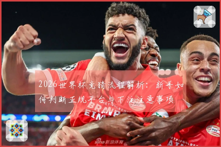 2026世界杯竞猜流程解析：新手如何判断正规平台与下注注意事项