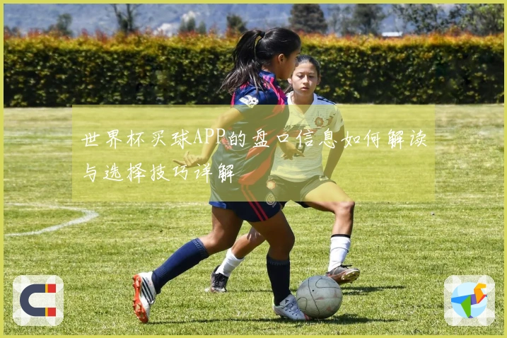 世界杯买球APP的盘口信息如何解读与选择技巧详解