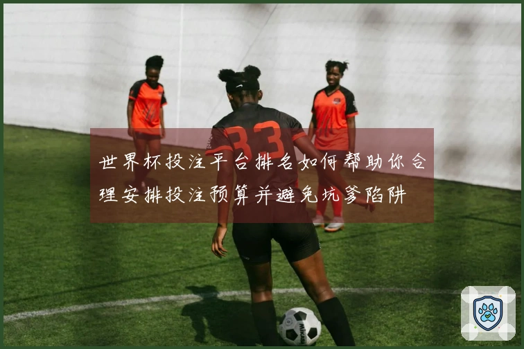 世界杯投注平台排名如何帮助你合理安排投注预算并避免坑爹陷阱