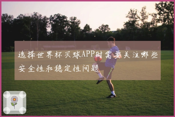 选择世界杯买球APP时需要关注哪些安全性和稳定性问题