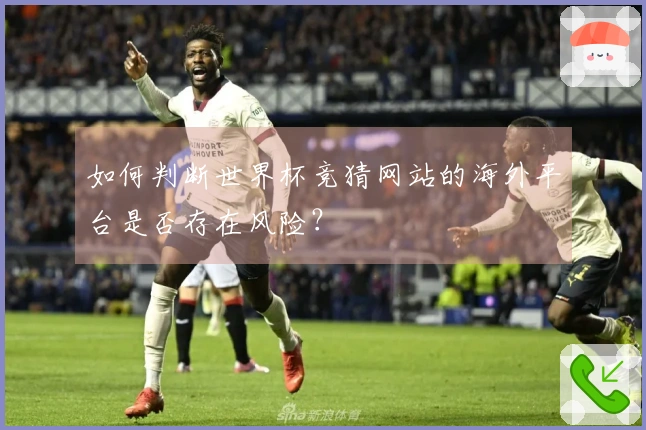 如何判断世界杯竞猜网站的海外平台是否存在风险？
