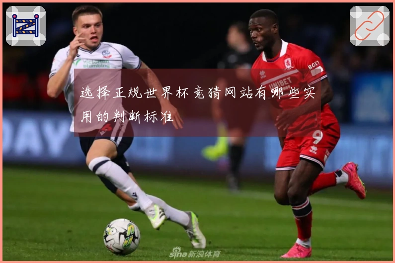 选择正规世界杯竞猜网站有哪些实用的判断标准