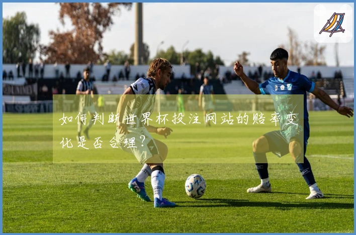 如何判断世界杯投注网站的赔率变化是否合理？