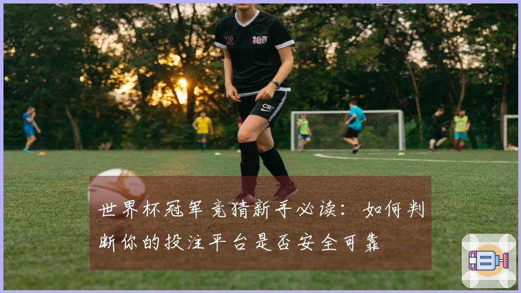 世界杯冠军竞猜新手必读：如何判断你的投注平台是否安全可靠