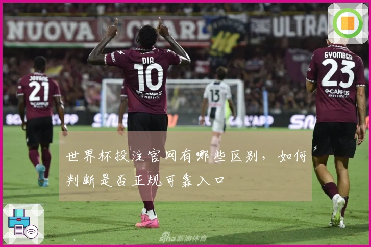 世界杯投注官网有哪些区别，如何判断是否正规可靠入口
