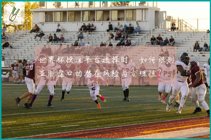 世界杯投注平台选择时，如何识别亚洲盘口的潜在风险与合理性？