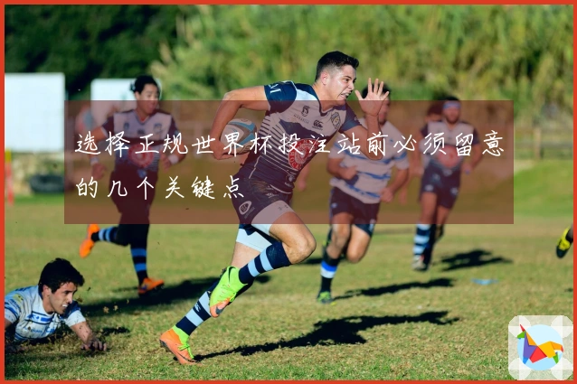 选择正规世界杯投注站前必须留意的几个关键点