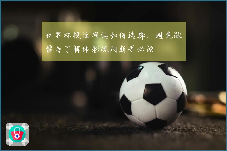 世界杯投注网站如何选择，避免踩雷与了解体彩规则新手必读