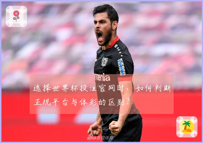 选择世界杯投注官网时，如何判断正规平台与体彩的区别？