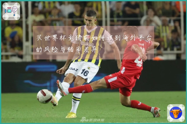 买世界杯竞猜前如何识别海外平台的风险与赔率差异