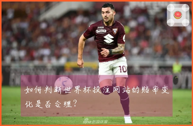 如何判断世界杯投注网站的赔率变化是否合理？