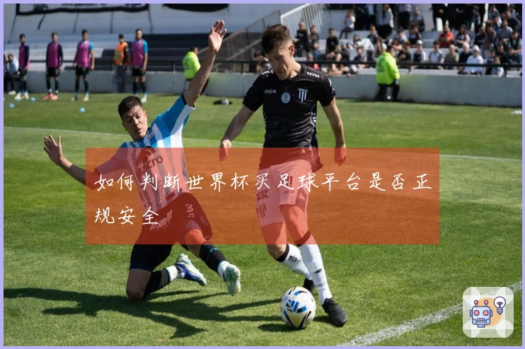 如何判断世界杯买足球平台是否正规安全