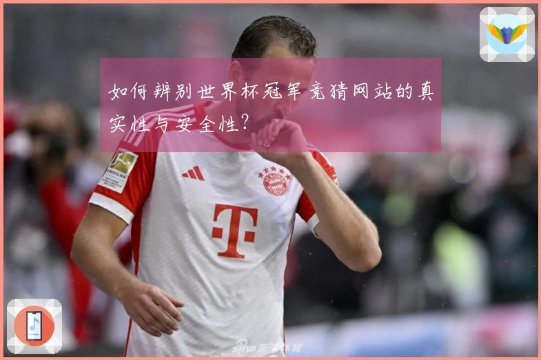 如何辨别世界杯冠军竞猜网站的真实性与安全性？
