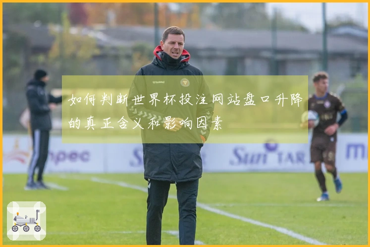 如何判断世界杯投注网站盘口升降的真正含义和影响因素