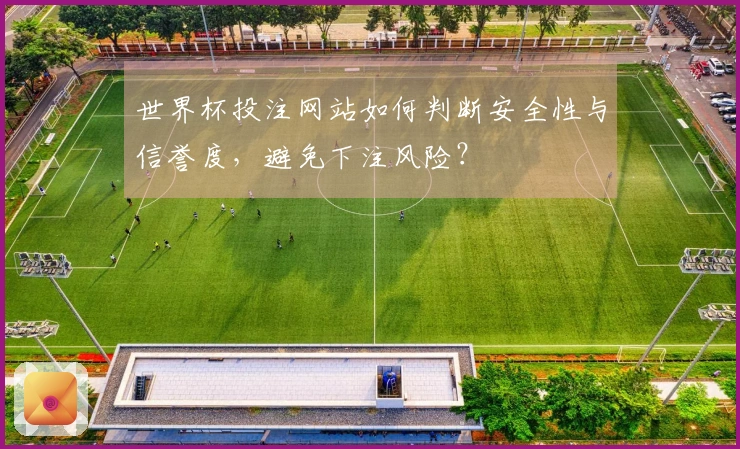 世界杯投注网站如何判断安全性与信誉度，避免下注风险？