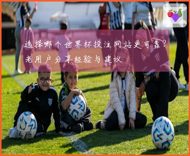 选择哪个世界杯投注网站更可靠？老用户分享经验与建议