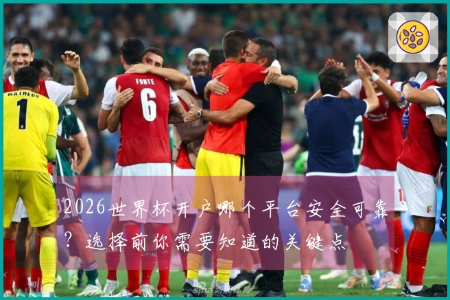2026世界杯开户哪个平台安全可靠？选择前你需要知道的关键点