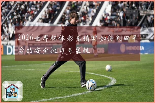 2026世界杯体彩竞猜时如何判断平台的安全性与可靠性
