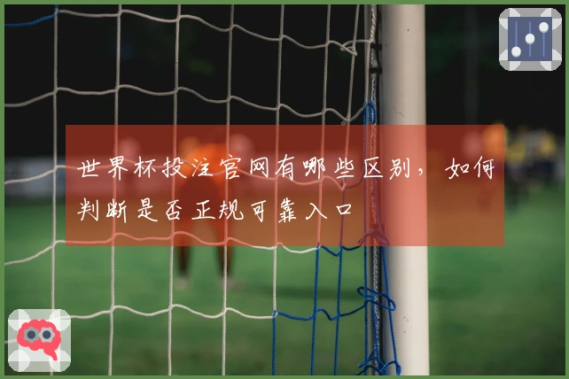 世界杯投注官网有哪些区别，如何判断是否正规可靠入口